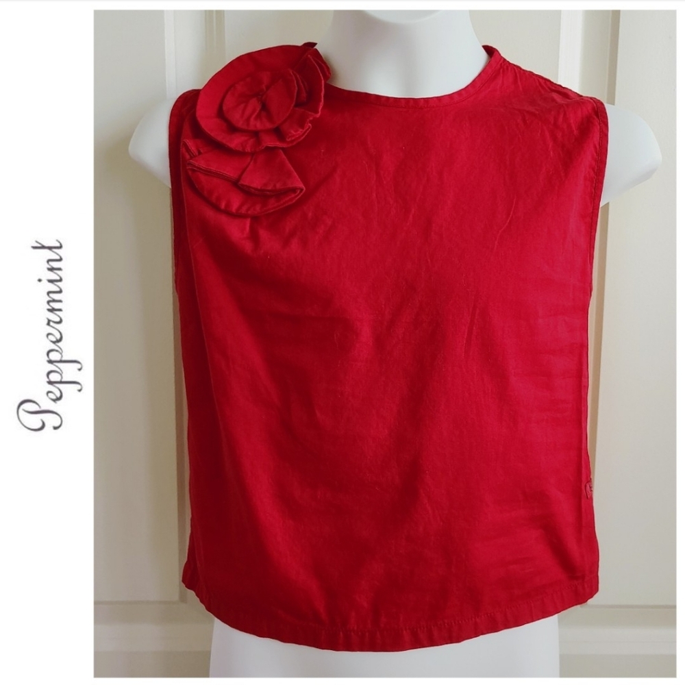 Peppermint Red Rose Blouse (Philippines Brand)
